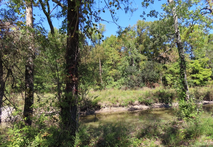 Mingo National Wildlife Refuge